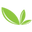 Nurish Organiq logo